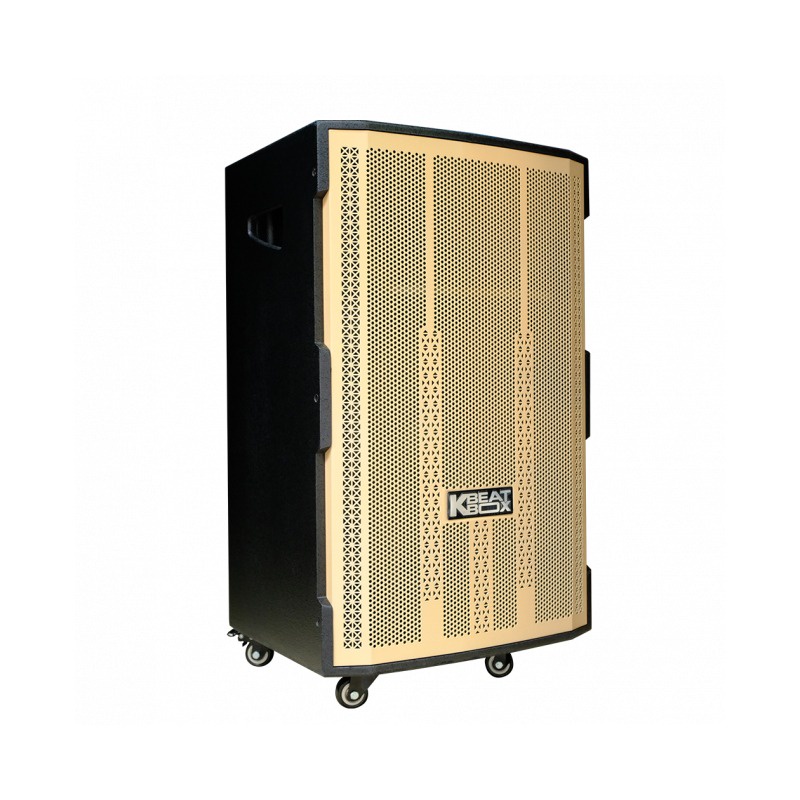 Loa kéo ACNOS CB4051G, Hàng chính hãng