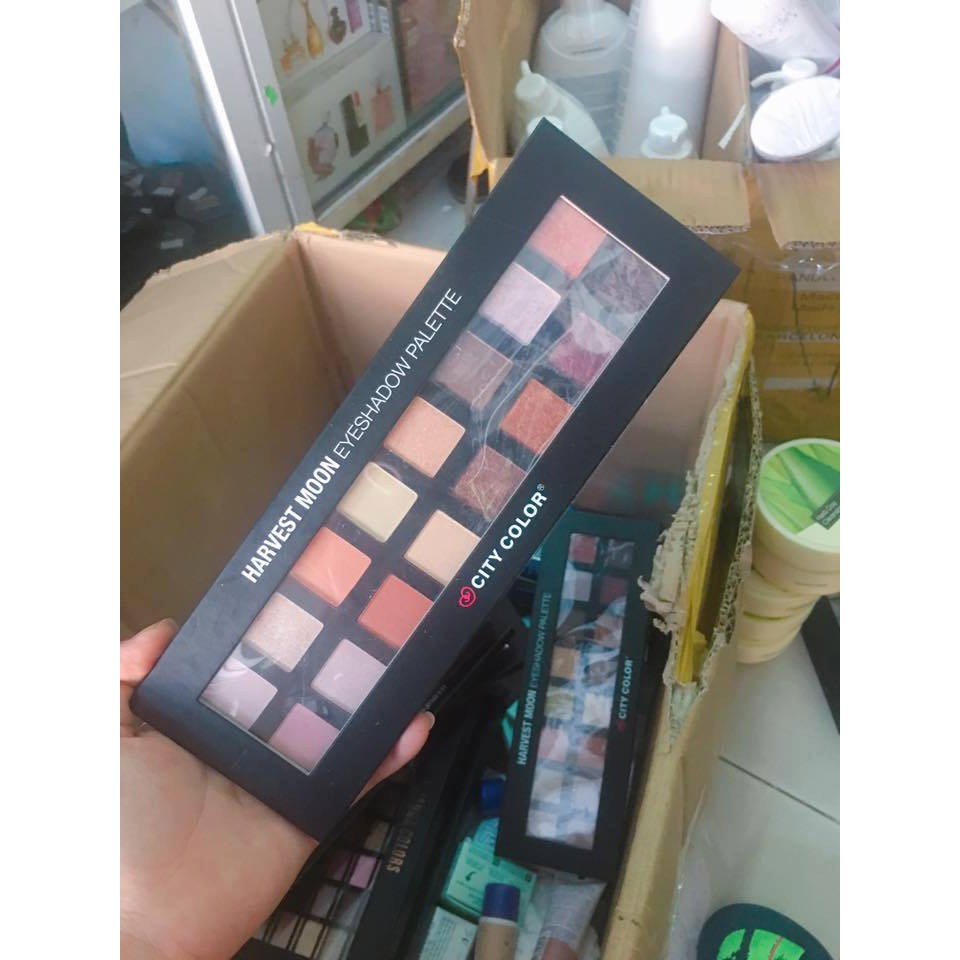 Bảng 16 ô city Color harvest moon Eyeshadow Palette