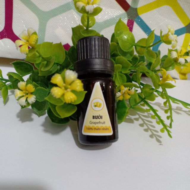 Tinh dầu bưởi xông đèn lọ 10ml