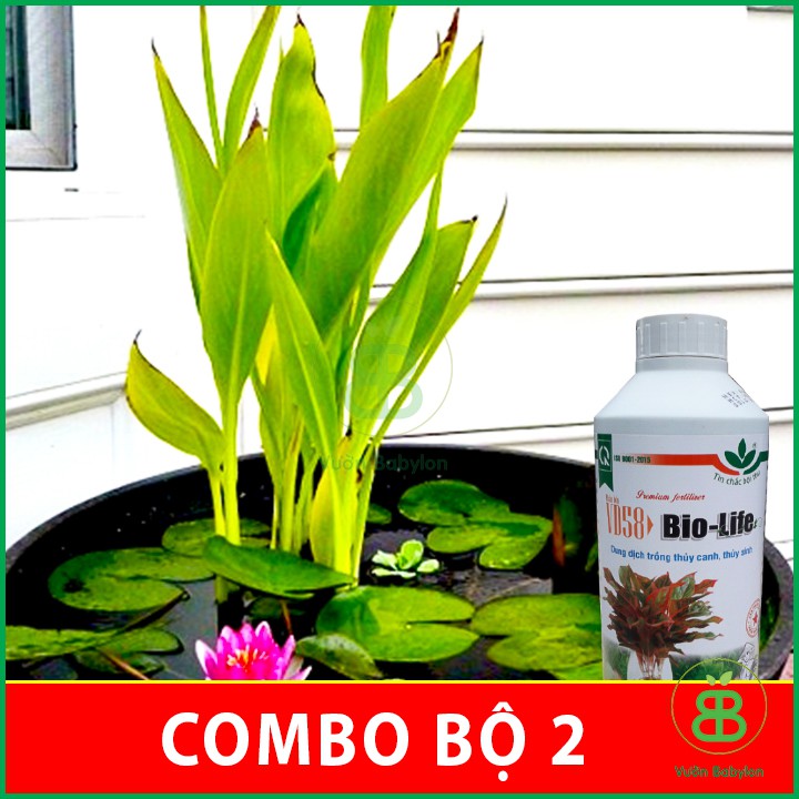 Dung dịch thủy canh – thủy sinh Bio-Life 1 Lít 2 CHAI