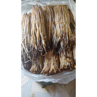 Sá Sùng - Trùn biển - Địa Sâm Má Thọ