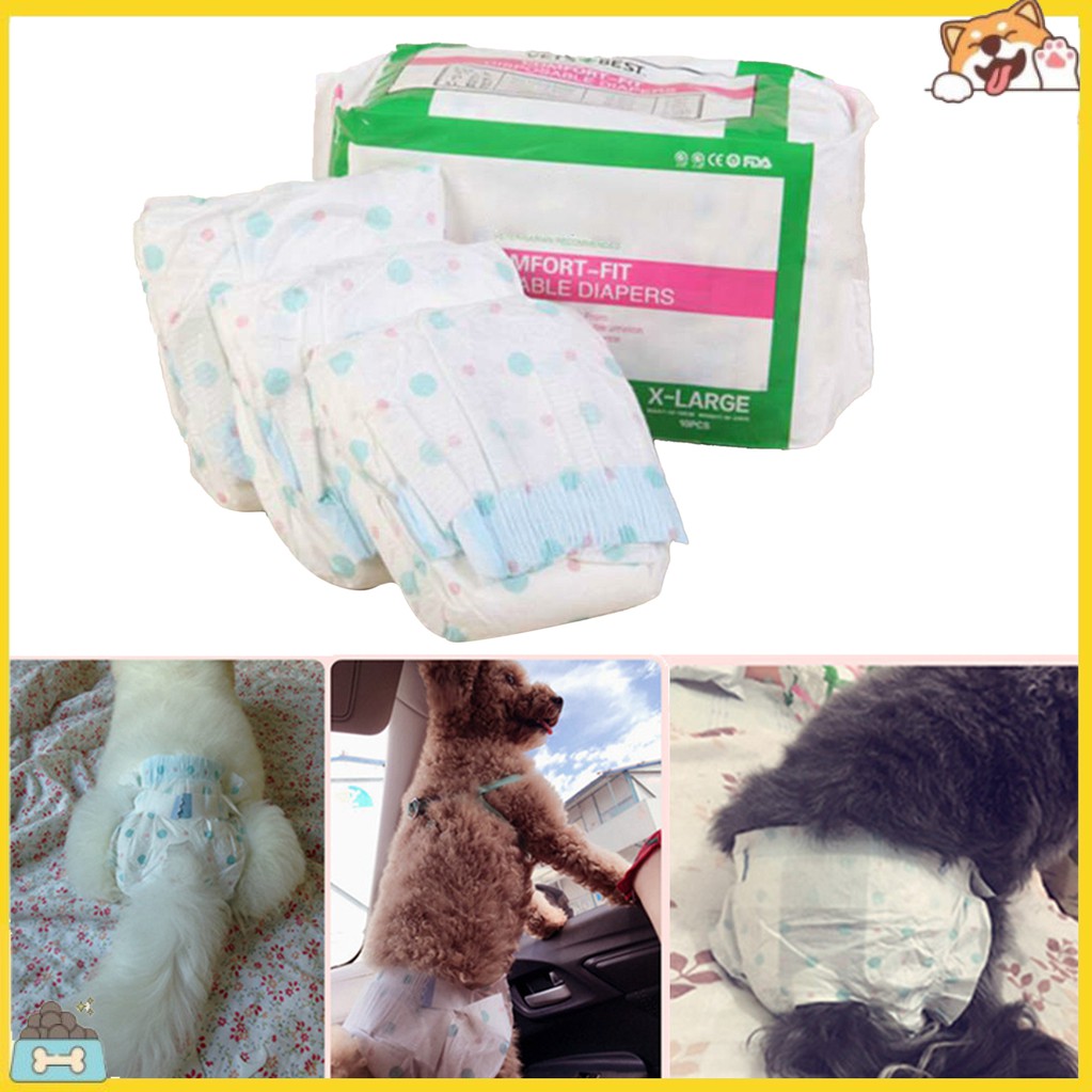 10 Tã Giấy Dùng Một Lần Cho Thú Cưng