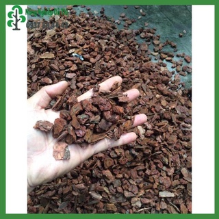 Vỏ thông trồng lan size 1-2cm, 3-6cm, 6-9cm đã qua xử lý