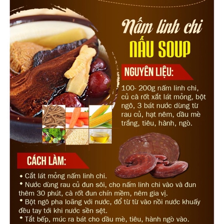 [ HÀNG MỚI VỀ ] NẤM LINH CHI NÚI ĐÁ GÓI 1KG [ Hàng Mới Về ]