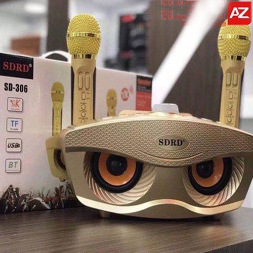 Loa Karaoke SD306
