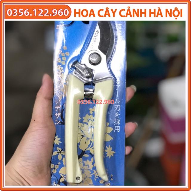 Kéo cắt tỉa cành cây