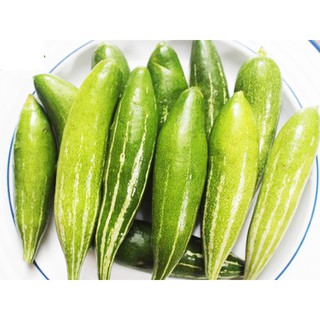 Hạt giống Lặc Lày - Mướp nhật - Mướp mèo siêu quả