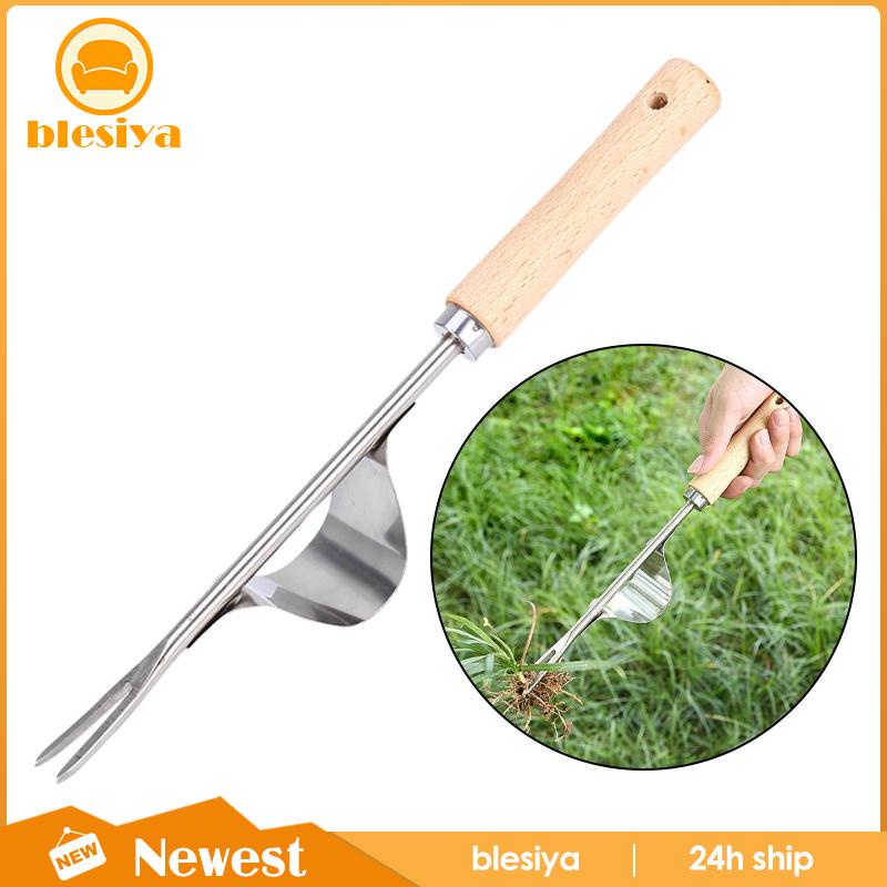 [Blesiya] Nĩa Loại Bỏ Cỏ Dại Mũi Nhọn Chữ V Chống Rỉ Sét Dễ Dàng Loại Bỏ Cỏ Dại Cho Sân Vườn