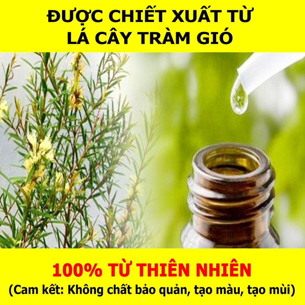 [ COMBO 2 LỌ 10ML ] Tinh Dầu Tràm Gió VIDAME nguyên chất - Hàng Chính Hãng Có Kiểm Định Chất Lượng