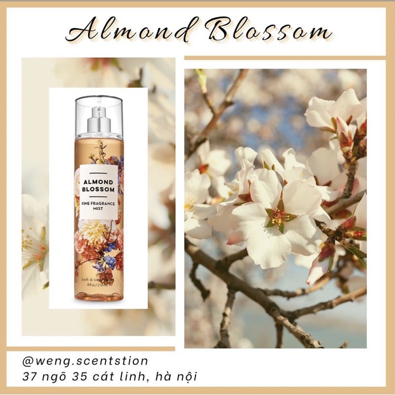 (MÙI HOT) Xịt thơm toàn thân Bath &amp; Body Works mùi Almond Blossom