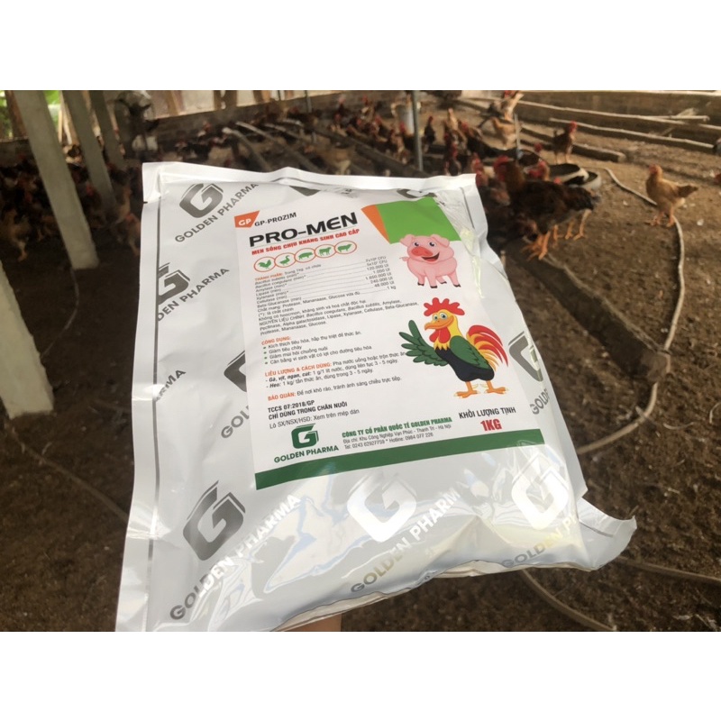 Men sống cao cấp cho vật nuôi  men sống chịu kháng sinh.