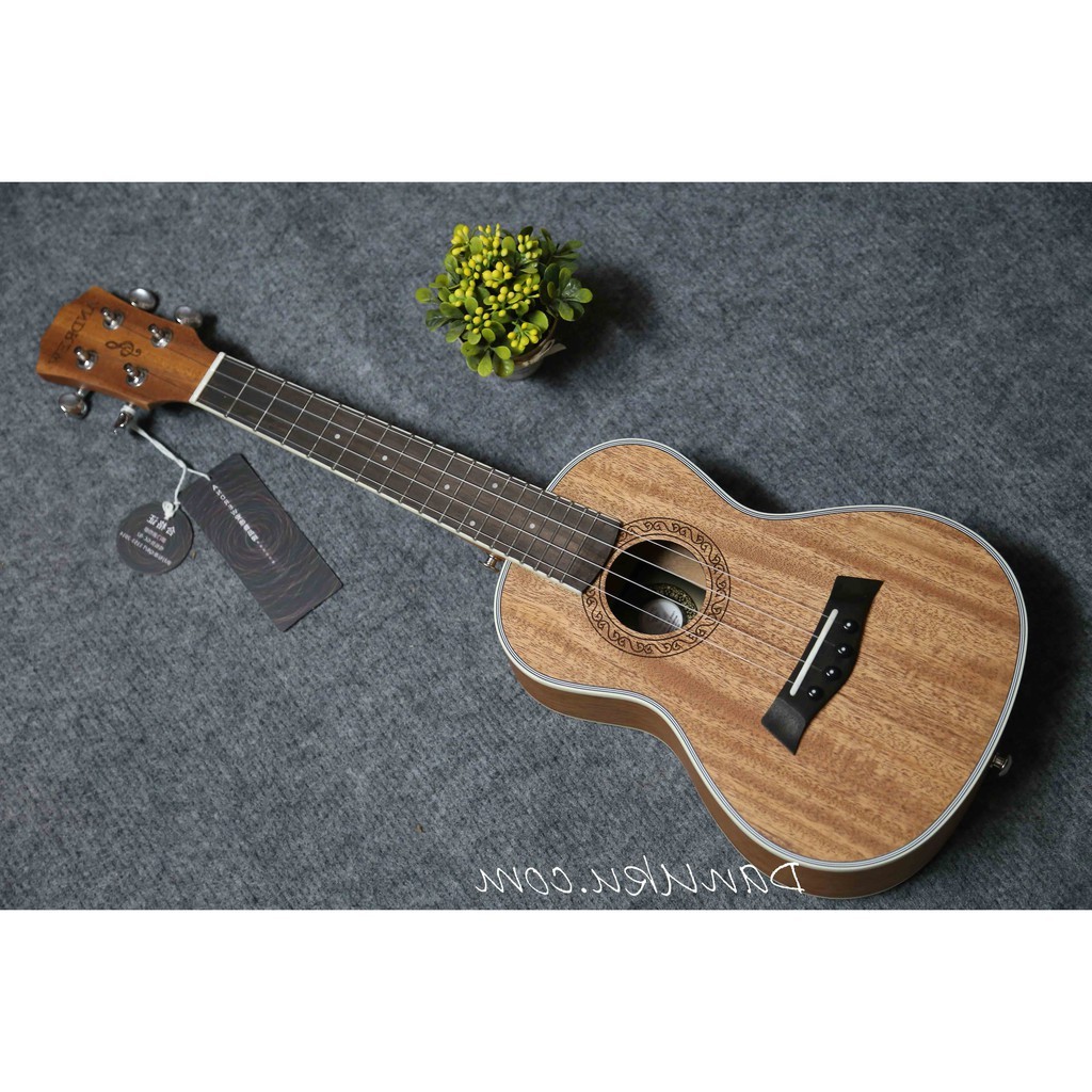 [Giá Sập Sàn] Đàn ukulele Concert Andrew tặng Full phụ kiện