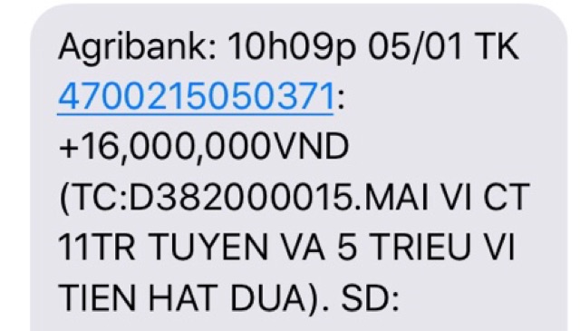 Hạt Bí Hùng Ký Loại Đặc biệt chuẩn Ban Mê Thuột