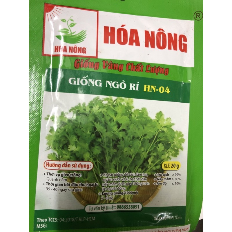 Hạt giống Rau Mùi  rau gia vị truyền thống của gia đình Việt 🍀