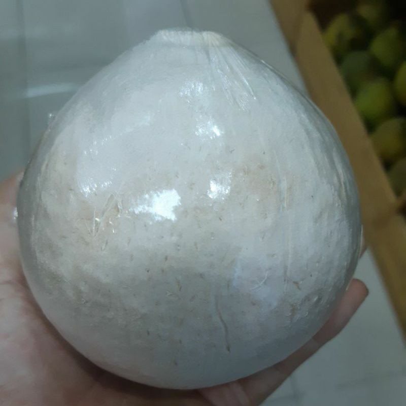 Dừa xiêm big size, set 12 trái( giao liền 1h) | BigBuy360 - bigbuy360.vn