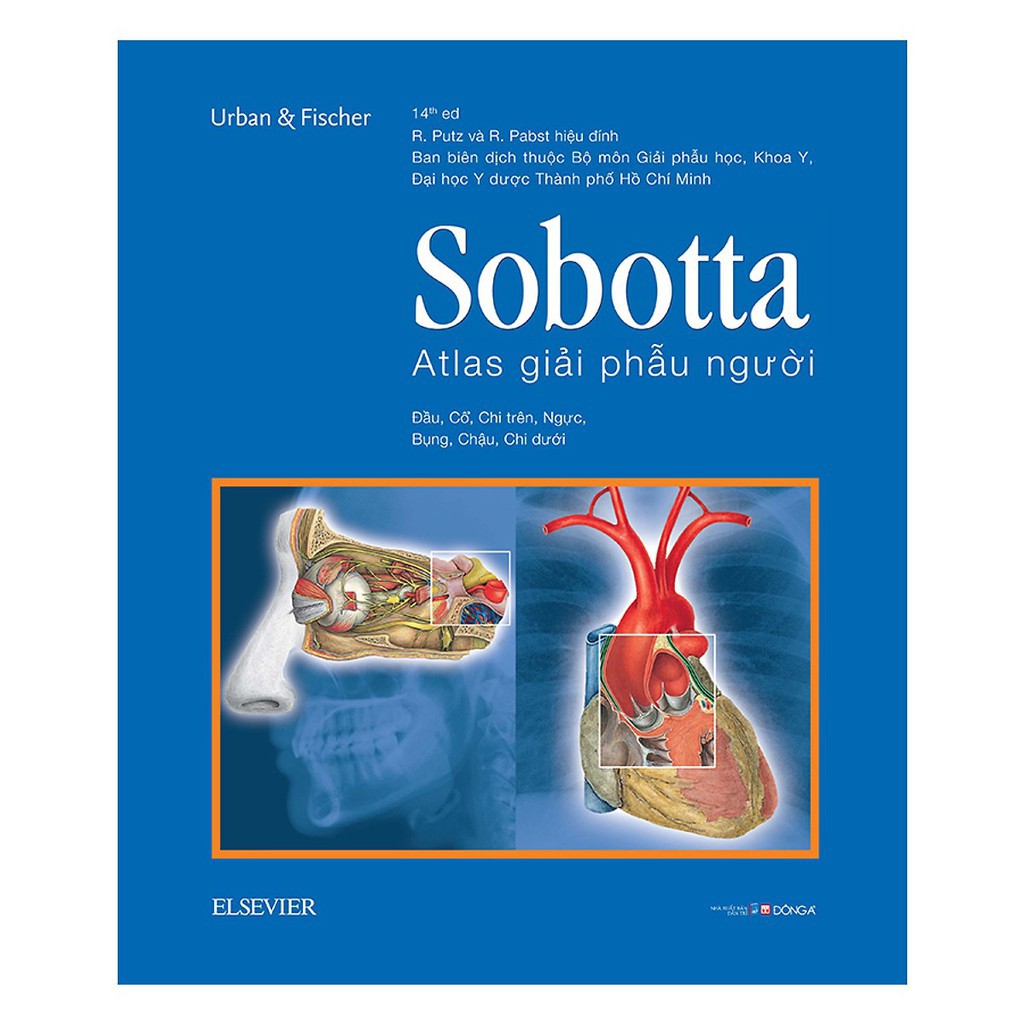 [Mã LT150 giảm 150k đơn 699k] Sách - Sobotta Atlas Giải Phẫu Người