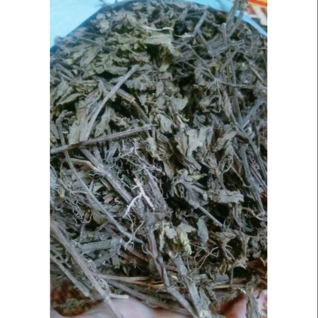 Cây thạch đen Cao Bằng