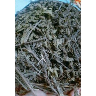 Cây thạch đen Cao Bằng