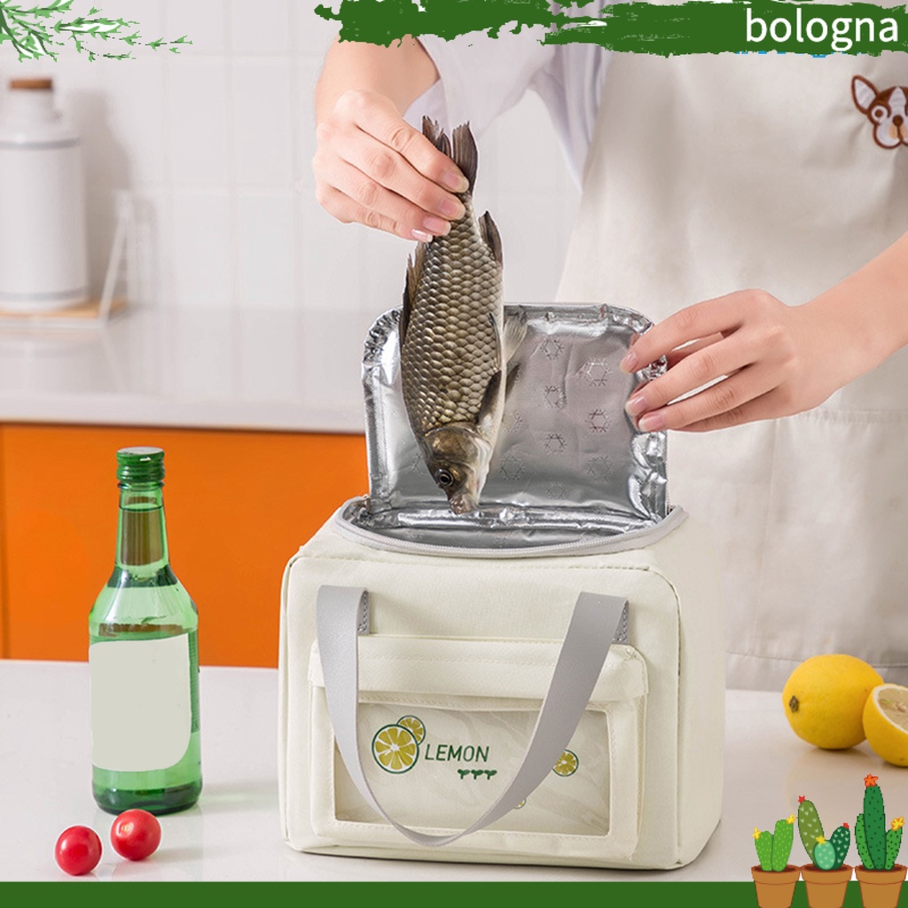 Túi Đựng Đá Giữ Nhiệt Bằng Vải Mềm Có Tay Cầm Tiện Dụng Cho Học Sinh