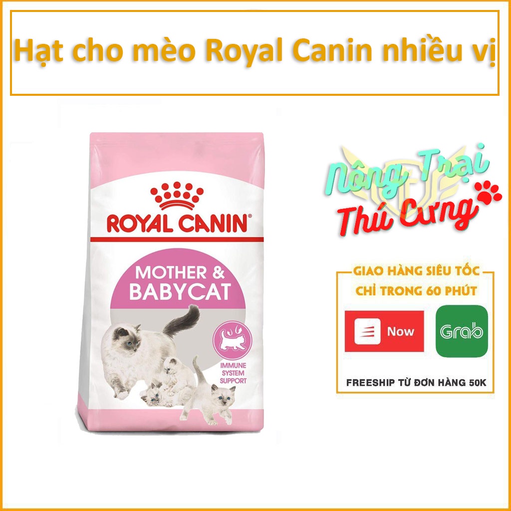 Thức Ăn Hạt Royal Canin Kitten 36 1kg