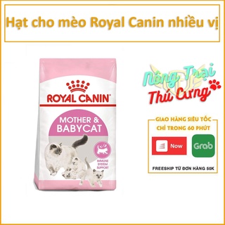 Thức Ăn Hạt Royal Canin Kitten 36 1kg