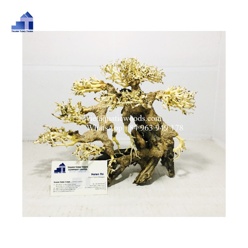 Lũa Bonsai Thủy Sinh Size Vừa Trang Trí Hồ Cá Cảnh 25x20