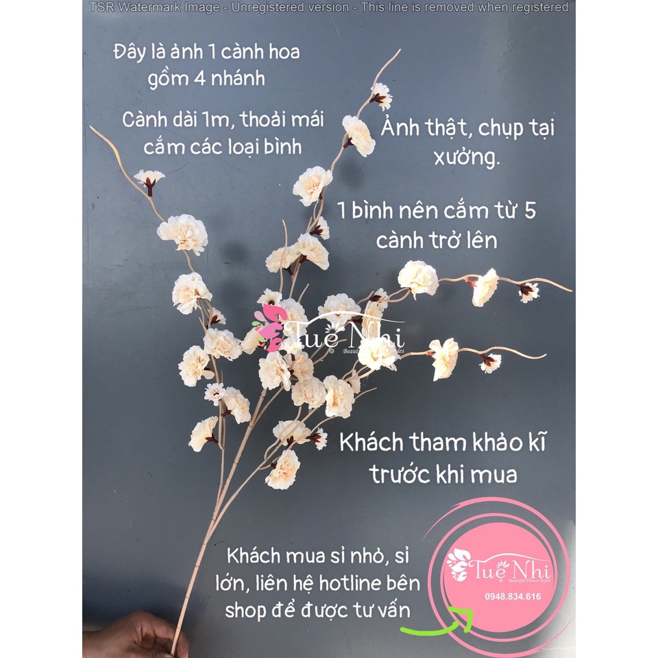 Cành Hoa Anh Đào Râu Cao Cấp Dài 1m, Hoa Cắm Cổng Cưới, Cắm Bình Trang Trí Tết - HOA GIẢ, HOA LỤA.