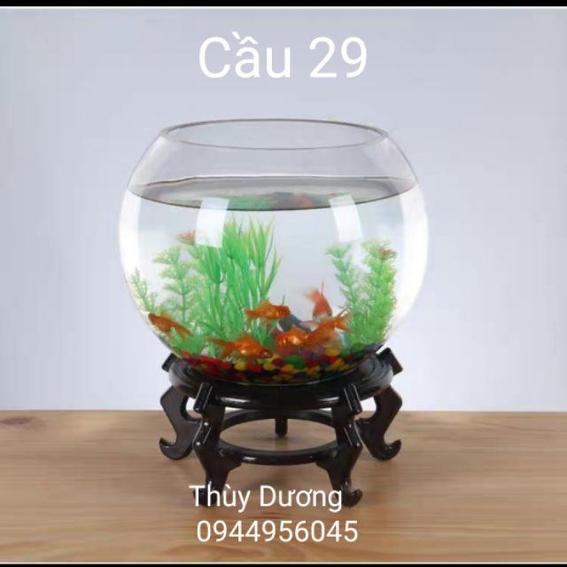 Bể cá hình cầu cỡ đại 29 cm