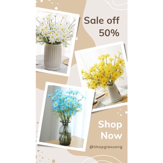 Hoa khô decor cúc hoạ mi hoa sáp hoa bất tử hoa trang trí