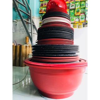 Combo 3 Chậu nhựa Giã đá - Chậu KHÔNG LỖ Trồng Sen/Thủy Canh- Chậu CÓ LỖ Trông Cây Kiểng- Siêu đẹp siêu dày (size 48-58)
