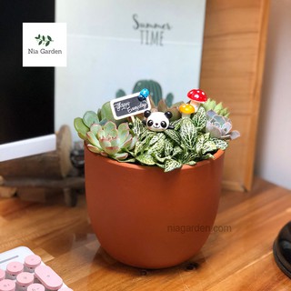 Chậu cây đất nung nâu đỏ trụ tròn bo đáy