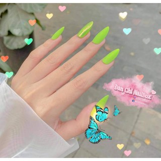 NailBox móng úp thiết kế sẵn Mẫu Xanh Trơn