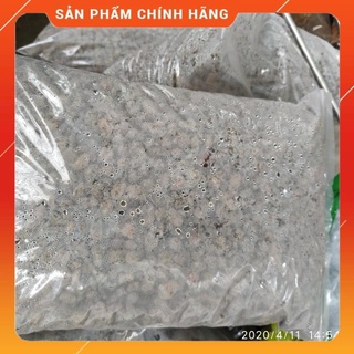 Đá bọt núi lửa Indo Pumice trồng lan, giữ ẩm tốt túi 1.0kg