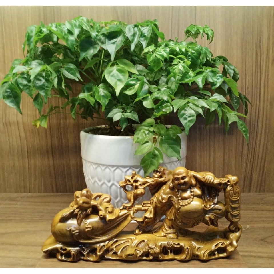 Tượng Phật Di Lặc Kéo Bao Tiền Để oto, bàn làm việc, Tượng Di Lặc Gỗ Bách Xanh Thu Hút Tài Lộc
