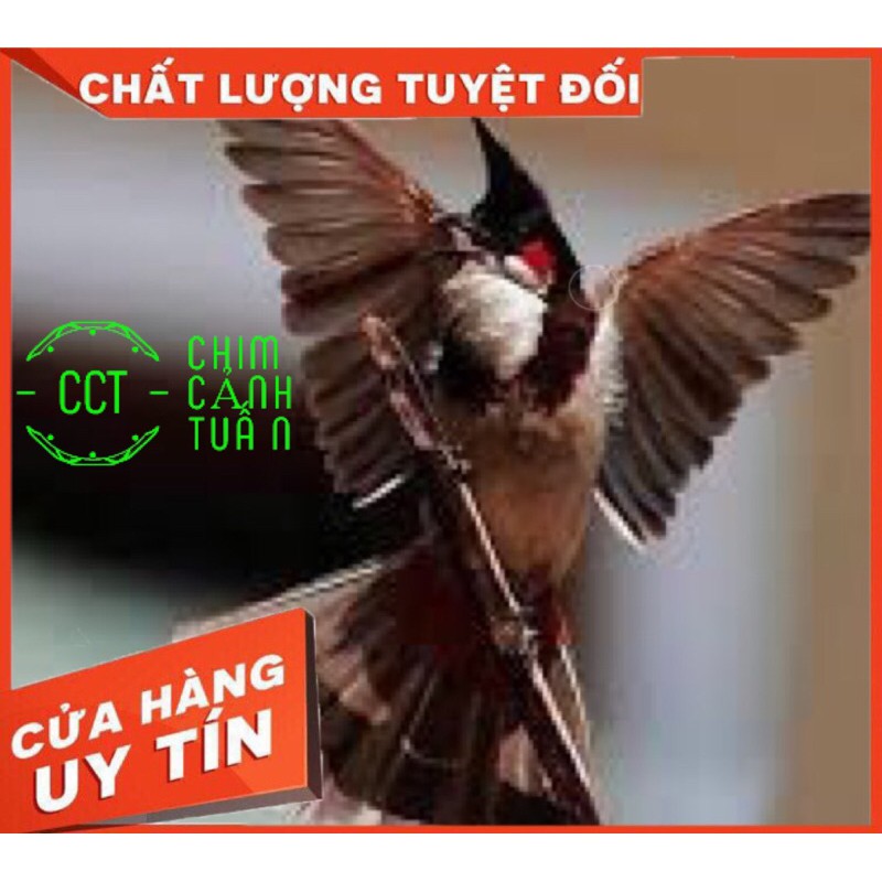 Cám chim chào mào Hiển Bảo Khánh Số 1 - Thay Lông - Dưỡng Lông