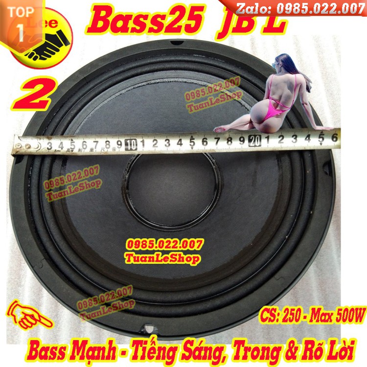 1 CẶP LOA BASS 25 LOA KARAOKE - HÀNG NHẬP  – GIÁ 1 CẶP LOA 2 TẤC 5 COI 65 TỪ 170