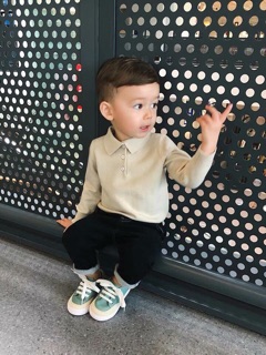 Aoa polo len