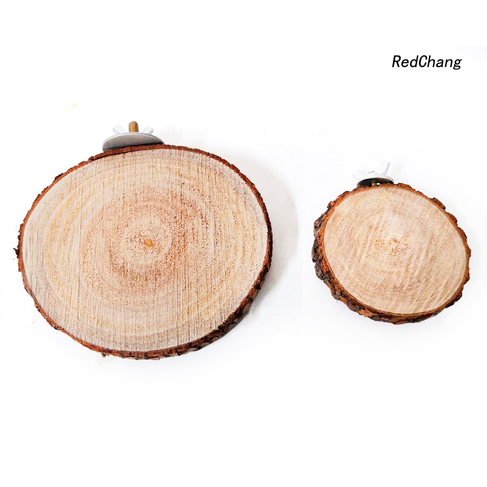 Bệ gỗ vui chơi cho chuột hamster