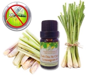 Đèn xông tinh dầu bát tràng