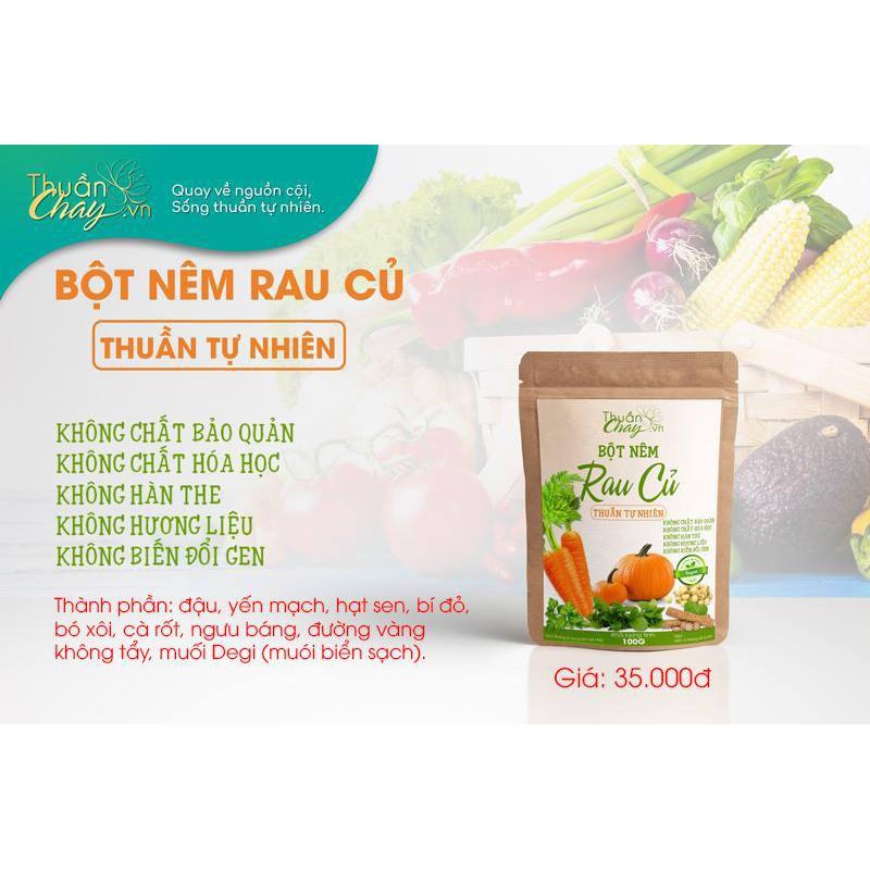 BỘT NÊM CHAY RAU CỦ KHÔNG MSG THƯƠNG HIỆU THUẦN CHAY ĐẬM ĐÀ TỪ RAU CỦ(100G)