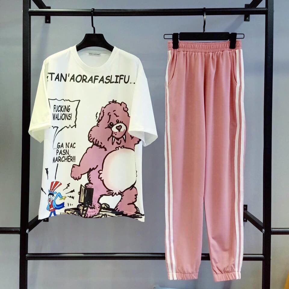 ❤️ Siêu Phẩm Áo Phông Nữ In Hình Thú Siêu Cute Hột Me-Z20-D3T2