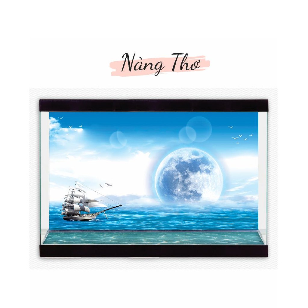 DECAL DÁN HỒ CÁ NHIỀU KÍCH THƯỚC_THIẾT KẾ NÀNG THƠ