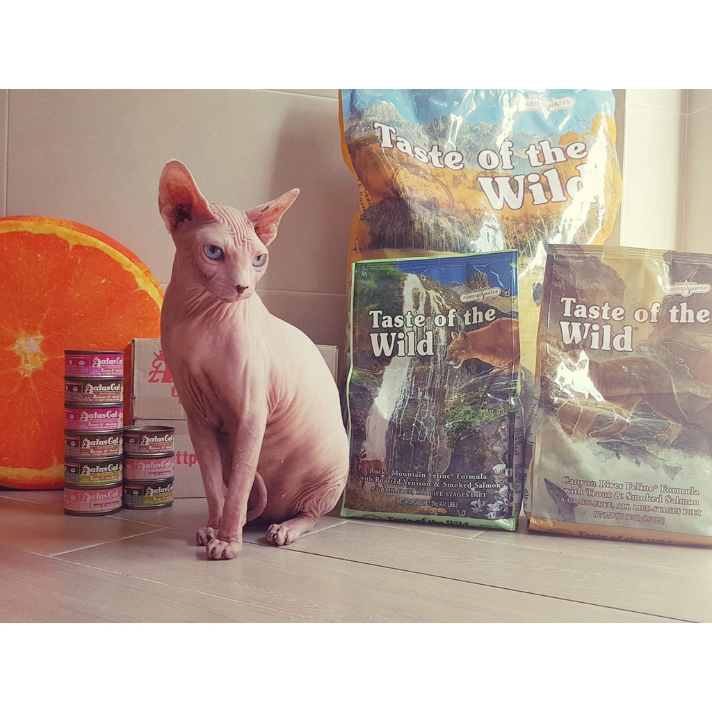 Thức Ăn Cho Mèo Taste Of The Wild Combo 2 bao 2kg Tặng 1 pate + 1 sốt kem Aatas Cat - Da Lông Bóng Mượt, Trí Não
