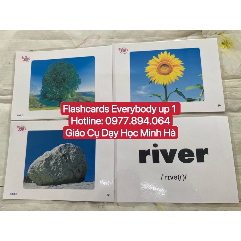 Flashcard  Everybody up 1 kích thước A5 thiết kế hai mặt ép plastics bền đẹp