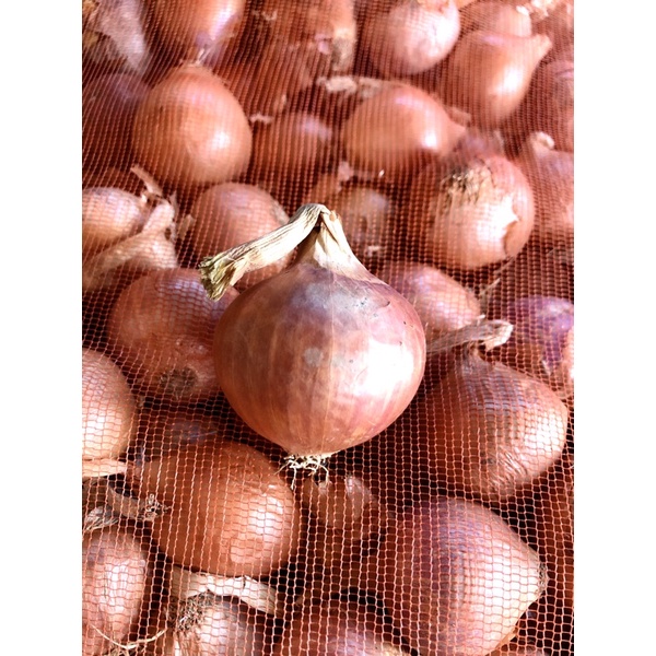 300g hành củ khô (loại 1 củ có to, có nhỏ ạ)