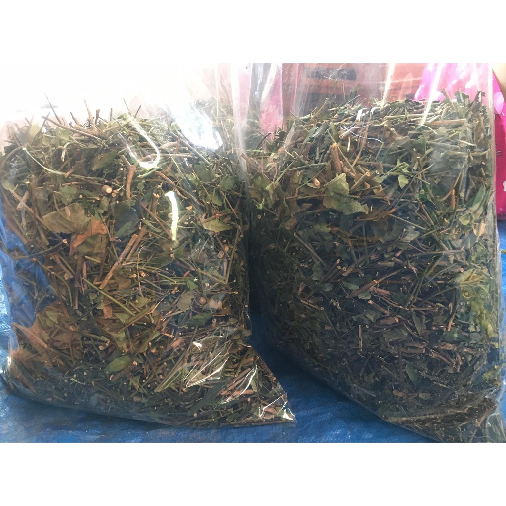 [GIÁ BUÔN] 1KG CHÈ VẰNG SẺ LỢI SỮA (CAM KẾT XANH, SẠCH, THƠM, MỚI)