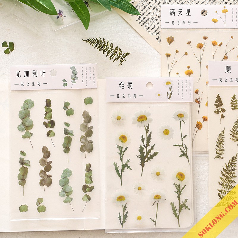 Sticker hoa lá Vintage trang trí, miếng nhán dãn hình hoa lá dán sổ, điện thoại Tuệ Minh