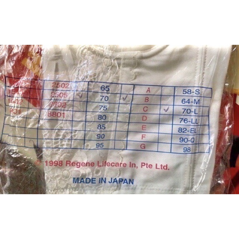 Bra corset định hình 2in1 nâng ngực - giảm mỡ (có size lớn - hàng sale Nhật) | BigBuy360 - bigbuy360.vn