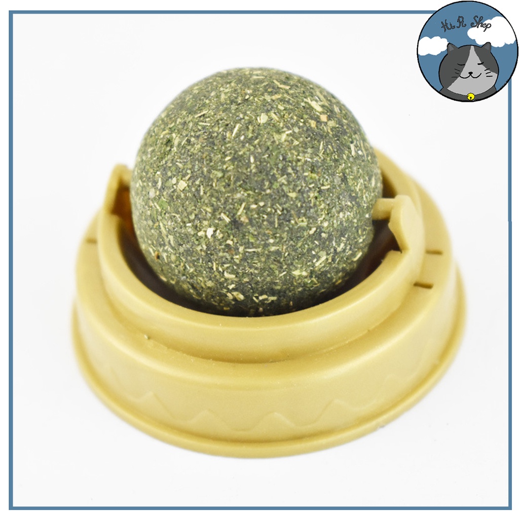 Cỏ Mèo (Catnip) Gắn Tường Cho Mèo Cỏ Bạc Hà Hỗ Trợ Tiêu Hoá Dành Cho Thú Cưng Mẫu Phổ Thông