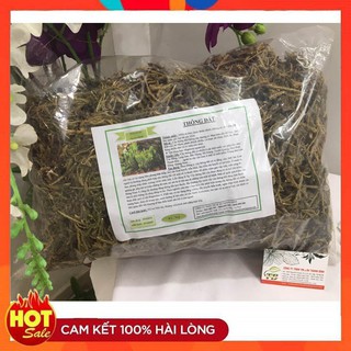 Cây thông đất 100gr - loại 1 - thảo dược thanh bình